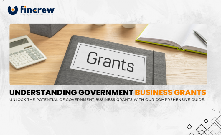 Government Business Grants